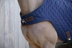 Hovedbilde KENTUCKY WALKER DEKKEN 160G