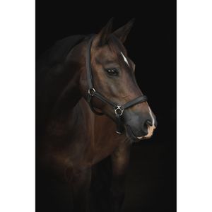 Hovedbilde LIPPO L&AElig;RGRIME